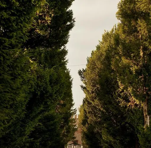 Relais Castello Отель Бевилаккуа